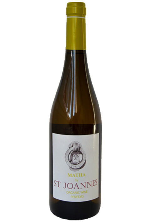 BLANCO MATHA 2019 ECO